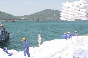 Cargo being loaded in Vung Ang Port (File photo: VNA) Cargo being loaded in Vung Ang Port (File photo: VNA)